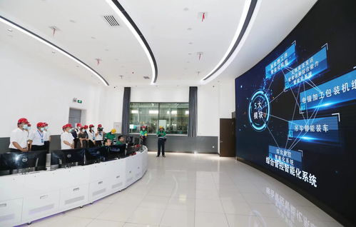 科技驱动发展，创新引领未来——金川集团以创新之翼，赋能酒店管理新篇章